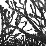 Dezember 2010 (Kopenhagen); Holzschnitt; 350g B&uuml;tten, 50x40cm; Auflage 85, 120,00&euro;