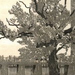 2.12 (Olympiastadion Berlin); Linolschnitt mit verlorener Platte; Druckkarton, 50x40cm; Auflage 6, 120,00&euro;