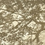 6.13 (Am Stechlin); Aquatinta; 350g B&uuml;tten, 50x40cm; Auflage 85, 120,00&euro;