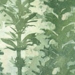 23.2.2014 (Riparbella); Aquatinta und Hochdruck; 350g B&uuml;tten, 50x40cm; Auflage 85, 140,00&euro;