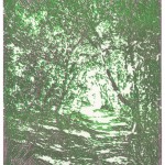 17.3.2014 (Maremma); Alugrafie und Holzschnitt; 350g B&uuml;tten, 50x40cm; Auflage 85, 140,00&euro;