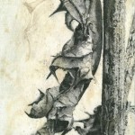 13.5.2016; Aquatinta; 350g B&uuml;tten, 50x40cm; Auflage 85, 120,00&euro;