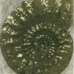 22.5.2015; Mezzotinto; 350g B&uuml;tten, 50x40cm; Auflage 32, 140,00&euro;