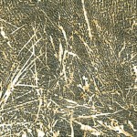 1.5.2015 (Ringkoepping); Holzschnitt; Druckkarton, 50x40cm; Auflage 63, 140,00&euro;