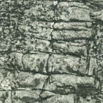 2.3.2015 (Corsica); Aquatinta; 350g B&uuml;tten, 50x40cm; Auflage 85, 120,00&euro;