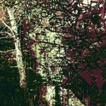 Loc. Sorbugnano; Linolschnitt; 31,4x24,8cm; 350g Bütten, 50x40cm; Auflage 8; 180,00€