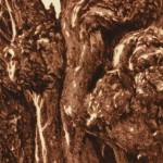 Saaleaue; Mezzotinto; 29,3x19,7cm; 350g Bütten, 50x40cm; Auflage 9; 120,00€