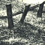 Benzonvaux; Aquatinta; 23,2x38,9cm; 350g Bütten, 50x40cm; Auflage 2; 190,00€