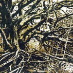 Hiddensee; Holzschnitt; 23,2x31,7cm; 350g Bütten, 50x40cm; Auflage 28; 140,00€